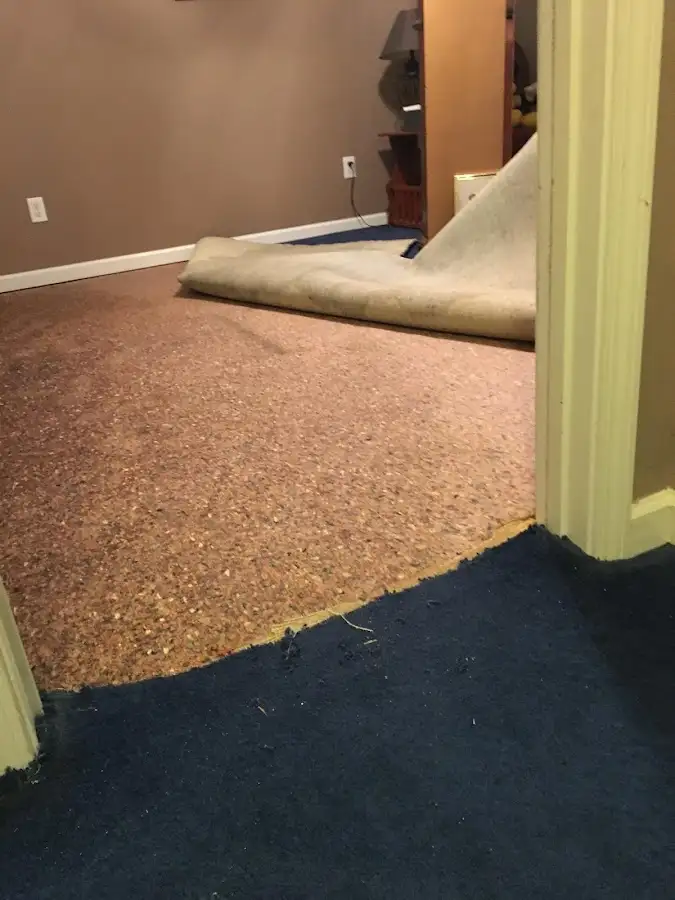 Carpet pad removal revealing water damage during Drying & Dehumidification in Miamisburg